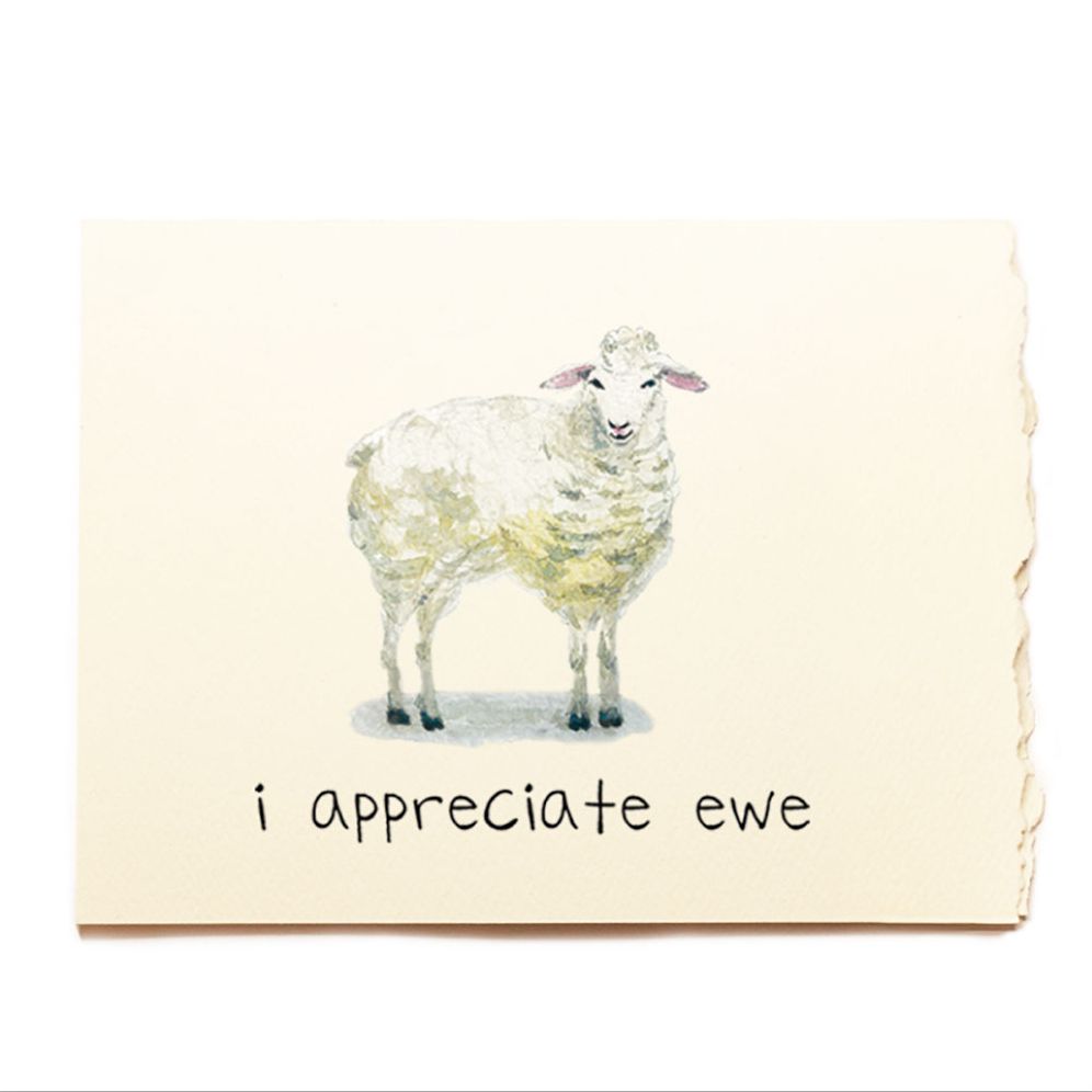I Appreciate Ewe Friendship Card