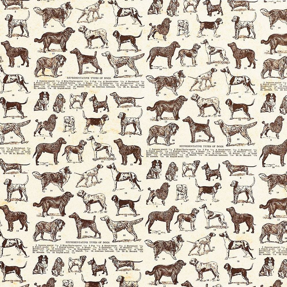 Dog Breeds Fine Paper