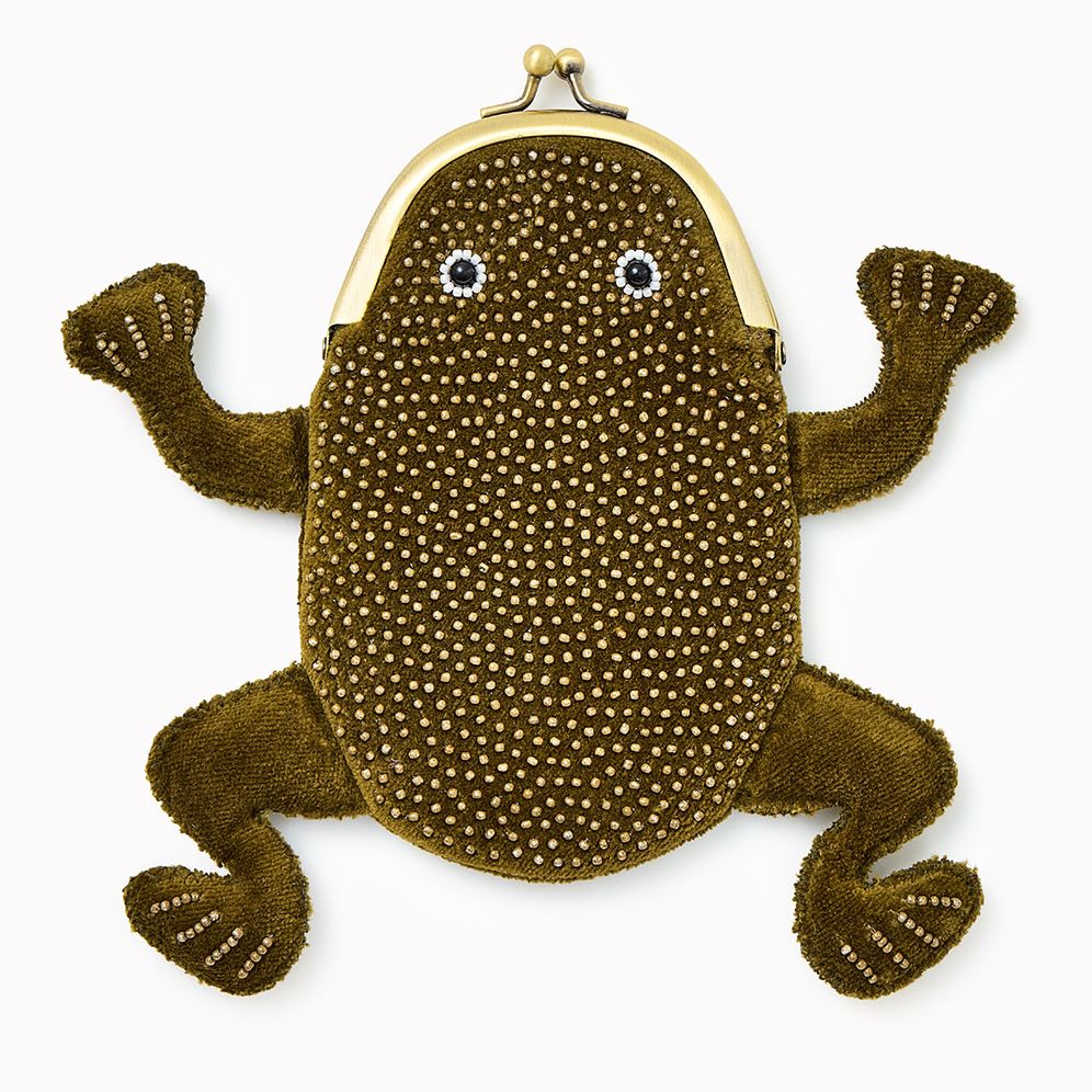 Beaded Frog Pouch