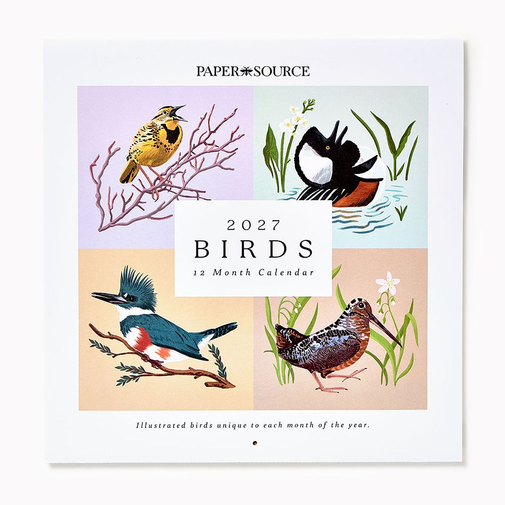2027 Paper Source Birds Calendar