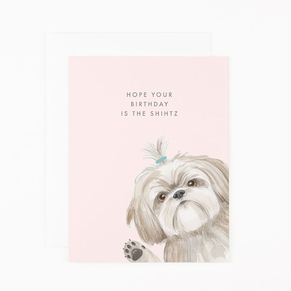 Birthday Shihtz Birthday Card