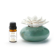 Ceramic Succulent Diffuser
