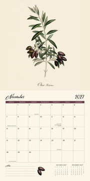 2027 Wall Calendar - Dybdhal Co. Fruits