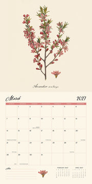 2027 Wall Calendar - Dybdhal Co. Fruits
