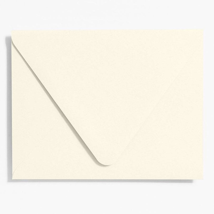 Luxe White Presentation Envelopes