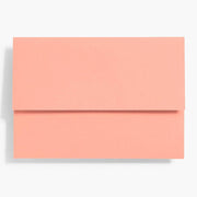 A7 Coral Folder Enclosures