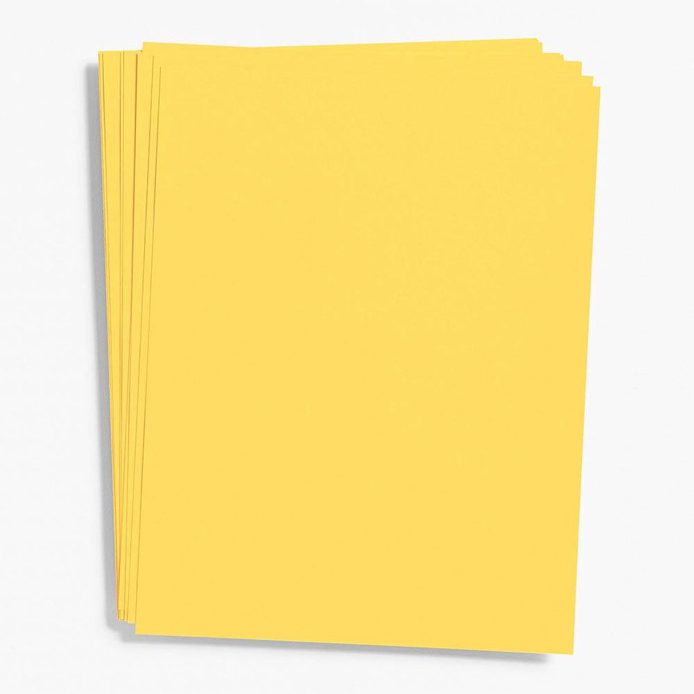 Curry Card Stock 26" x 20"