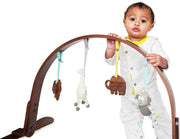 2 pc. Baby Organic Knit and Wood stroller and play toys