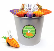 Bunny in Carrot Pullback Toy