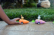 Bunny in Carrot Pullback Toy