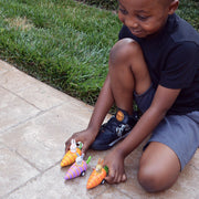Bunny in Carrot Pullback Toy