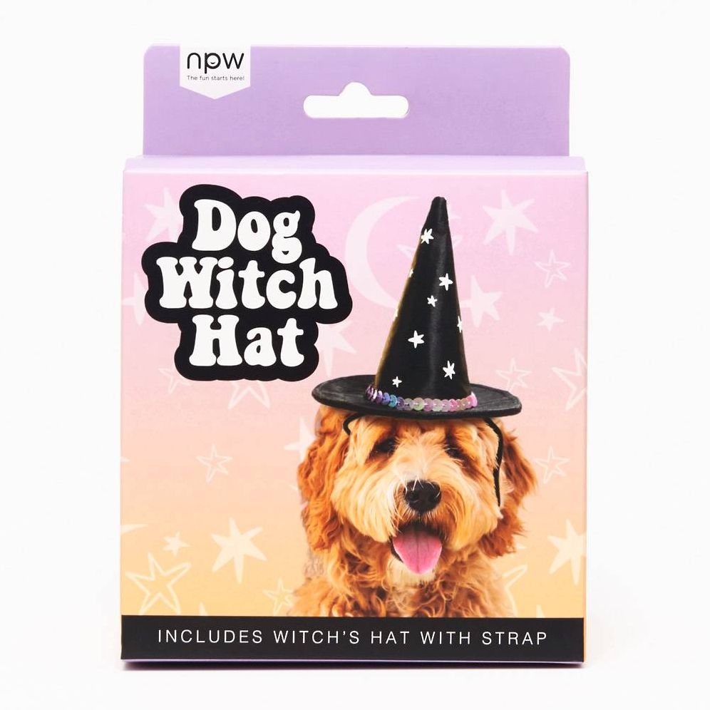 Halloween Dog Witch Hat