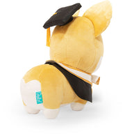Graduation Corgi Plush