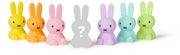 Mr Maria Miffy Bundle of Light Colorful Collection