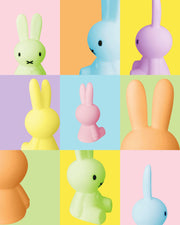 Mr Maria Miffy Bundle of Light Colorful Collection