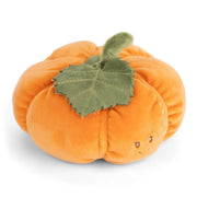 Baby Pumpkin