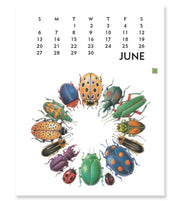 2027 Linnea Design Poster Calendar