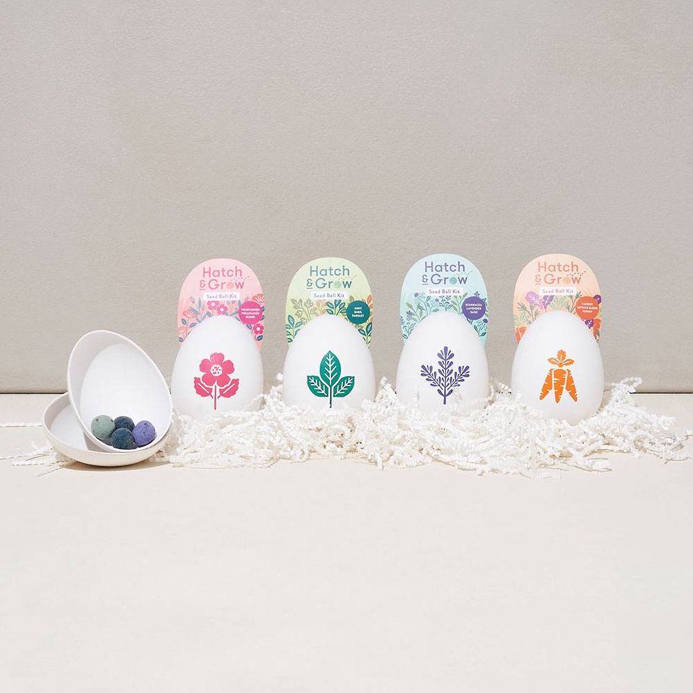 Egg Seed Kit