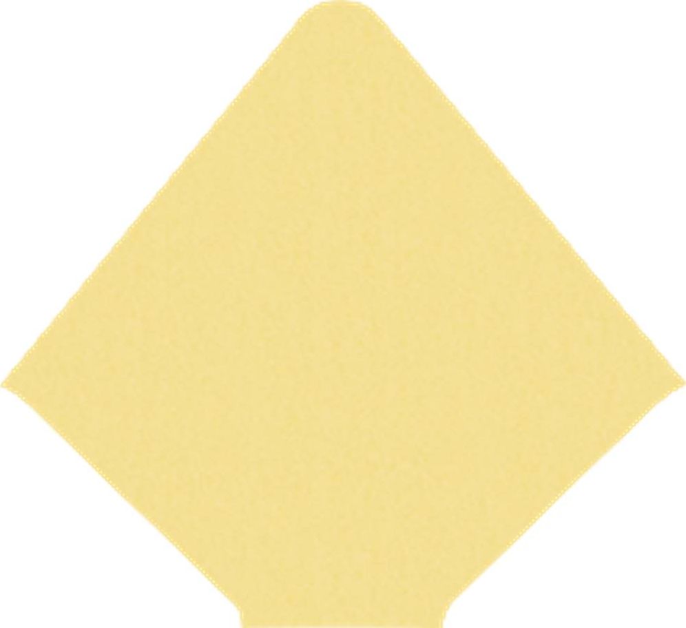 Shimmer Gold A9 Liners