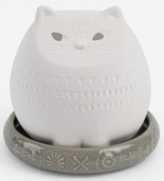 Cat Humidifier