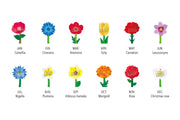 2027 Good Morning Calendar Flowers