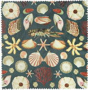 Archive Oceans Shell Glasses Case