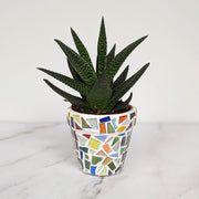 DIY Mosaic Planter Kit