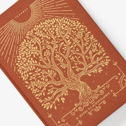 Intelligent Change Notes to Mindfulness Sunset