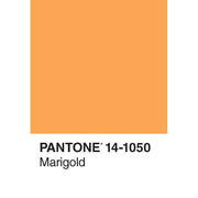 Pantone 50 Postcards