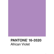 Pantone 50 Postcards