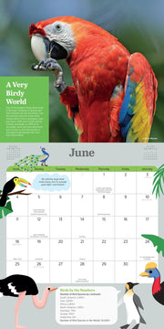 2023 Kids' Birding Activity Wall Calendar