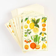 Jardin Stationery Set