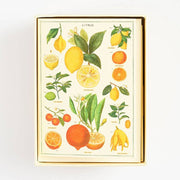 Jardin Stationery Set
