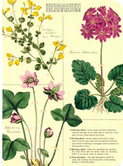 Herbarium Mini Journals