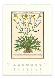 2026 Cavallini Herbarium Wall Calendar