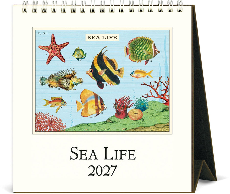 2027 Sea Life Desk Calendar
