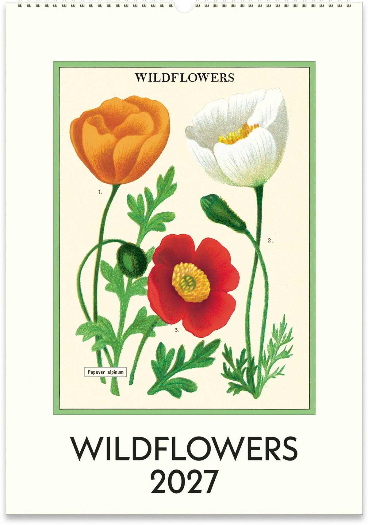 2027 Wildflowers Wall Calendar