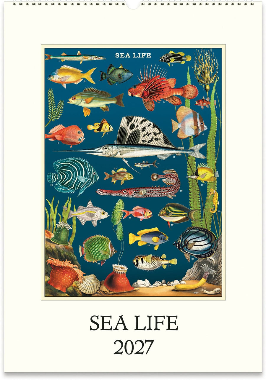 2027 Sea Life Wall Calendar