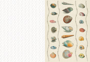 The Collage Compendium: 2,000 Images to Cut Out & Collage