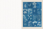 The Collage Compendium: 2,000 Images to Cut Out & Collage