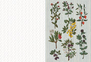 The Collage Compendium: 2,000 Images to Cut Out & Collage
