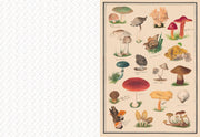 The Collage Compendium: 2,000 Images to Cut Out & Collage