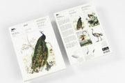 Birds A5 Notepad