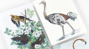 Birds A5 Notepad