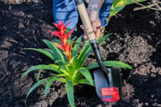 Photo of Craftsman garden shovel SKU CMXMLTP35331 digging soil next to a red flowering plant.