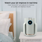 Shark NeverChange™ Compact Air Purifier Bundle