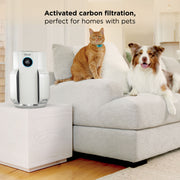 Shark NeverChange™ Air Purifier Bundle
