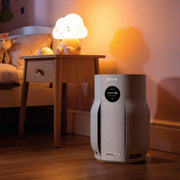Shark BreatheClear™ Air Purifier with NeverChange™ 2-Pack Bundle