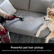 Shark Detect™ Upright Vacuum