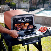 Ninja Woodfire™ Pizza Oven